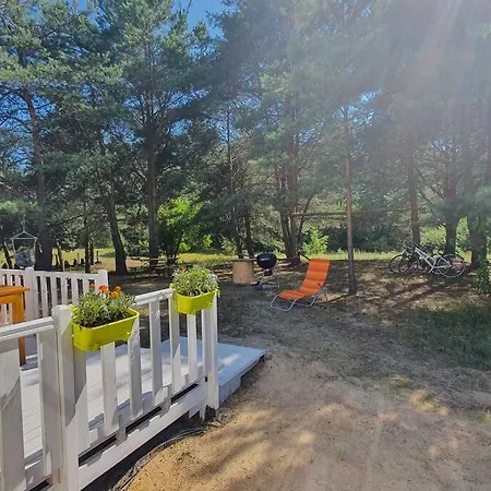 Holenderki Na Zielonych Wzgorzach, * Lowyn