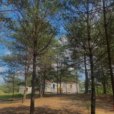 Holenderki Na Zielonych Wzgorzach, Lowyn