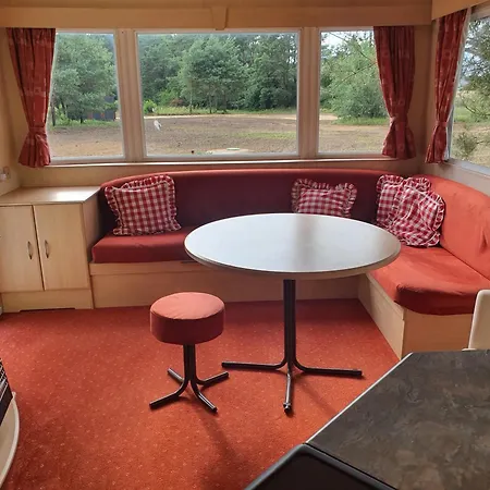 Holenderki Na Zielonych Wzgorzach, Lowyn