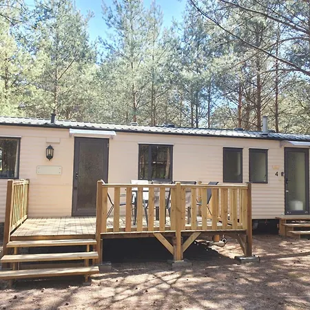 Holenderki Na Zielonych Wzgorzach, Lowyn