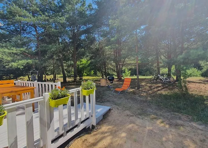 Holenderki Na Zielonych Wzgorzach, * Lowyn