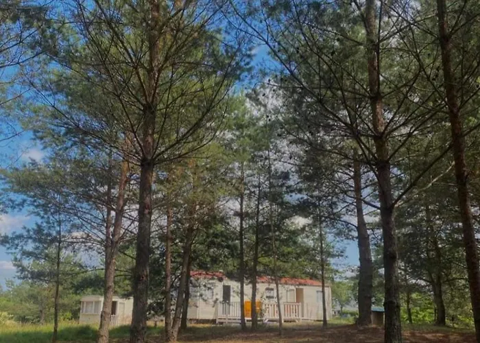 Holenderki Na Zielonych Wzgorzach, Lowyn