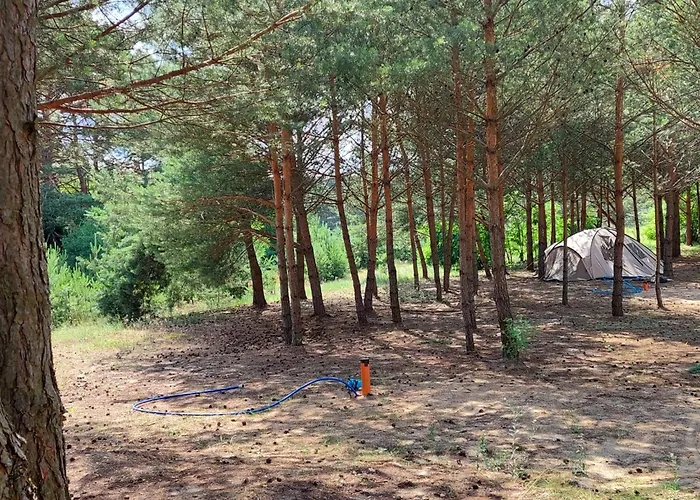 Holenderki Na Zielonych Wzgorzach, Holiday home *