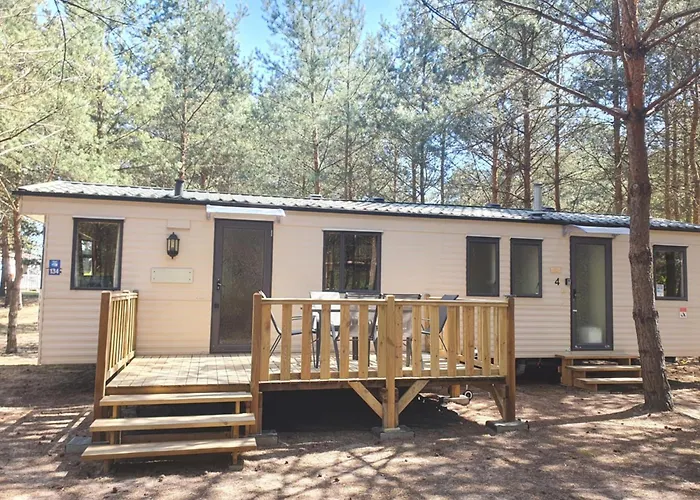 Holenderki Na Zielonych Wzgorzach, Lowyn