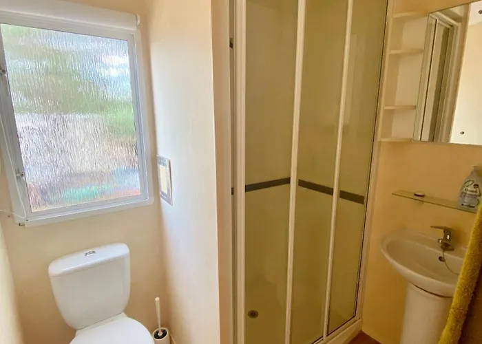 Holenderki Na Zielonych Wzgorzach, *